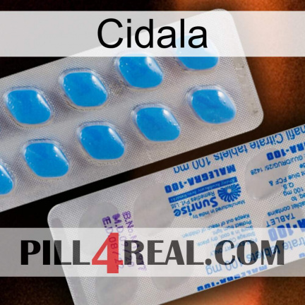 Cidala new15